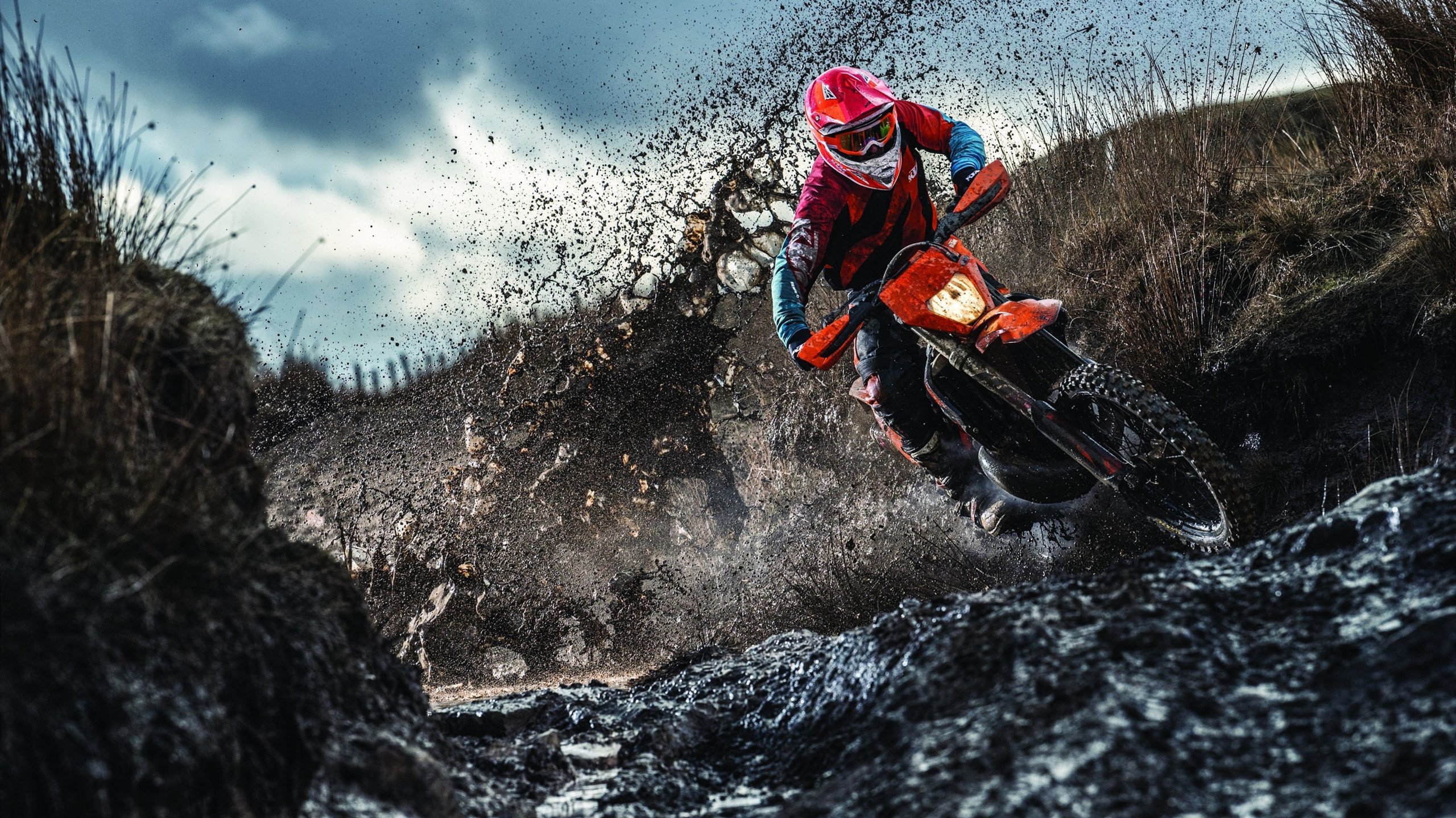 新闻中心聚焦未来科技发展趋势，关于未来科技的新闻